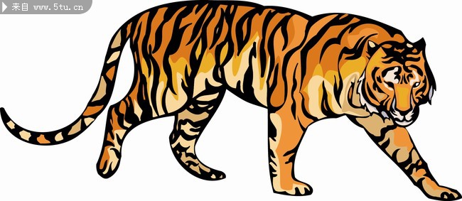 big_cats_062c.jpg