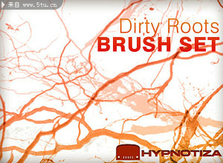 dirtyRoots_front.jpg